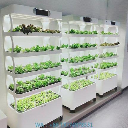 Hydroponic Automated Grow Syst - Home Automation Systems Diy 评论和价格